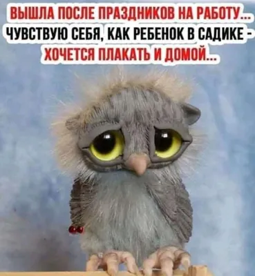 Мемы и картинки 08.03.2022