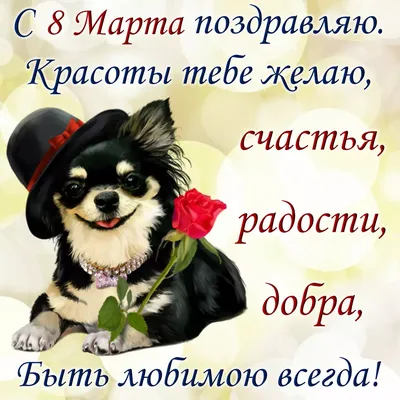 Нупогоди!: истории из жизни, советы, новости, юмор и картинки — Лучшее,  страница 101 | Пикабу