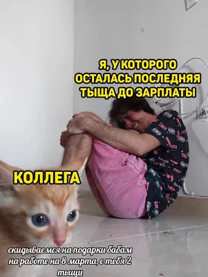 С 8 марта: смешные картинки с цитатами Челентано с юмором – Люкс ФМ