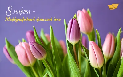 8 Марта и еще 7 праздников, посвященных женщинам - 7Дней.ру