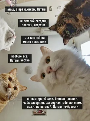 Поздравления с 8 Марта: оригинальные открытки в стихах для мамы, коллеги,  бабушки или дочери | РБК Life