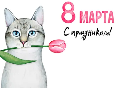 Красивая и забавная картинка на 8 марта подруге или коллеге - Скачайте на  Davno.ru