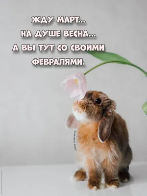 Кировский Государственный Цирк - официальный сайт