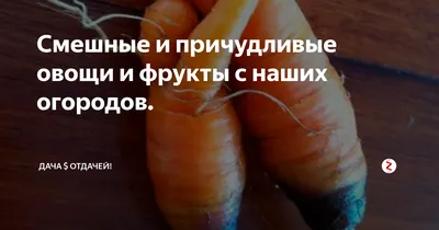 Забавные фрукты и овощи, которые хотят быть похожими на нечто другое