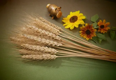 Пшеница искусственная - искусственные колосья пшеницы купить