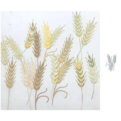 Пшеница на белом фоне (45 фото) - 45 фото