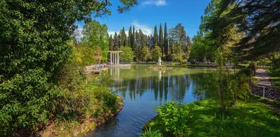 Сочи ботанический сад фото фотографии