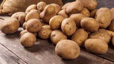 Как выбрать сорт картофеля для посадки - Бобёр.ру