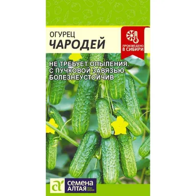 Среднепоздние сорта картофеля - РЕСПУБЛИКАНСКОЕ УНИТАРНОЕ ПРЕДПРИЯТИЕ  «НАУЧНО-ПРАКТИЧЕСКИЙ ЦЕНТР НАЦИОНАЛЬНОЙ АКАДЕМИИ НАУК БЕЛАРУСИ ПО  КАРТОФЕЛЕВОДСТВУ И ПЛОДООВОЩЕВОДСТВУ»