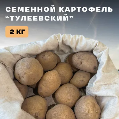 Бесплатная доставка картофеля (картошка) сорт ''Императрица ', цена 0.68 р.  купить в Минске на Куфаре - Объявление №210733748