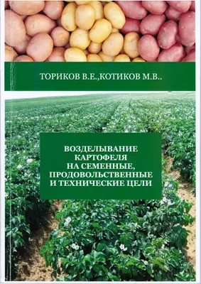 Купить семенной картофель — лучшие сорта на посадку из Голландии