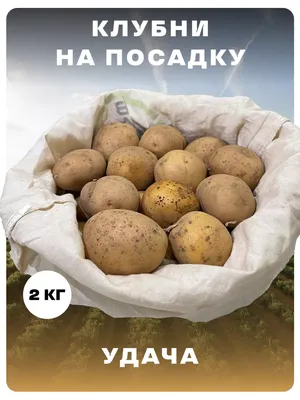 семена томат Дрова (20шт. в пакете) Аэлита | AliExpress