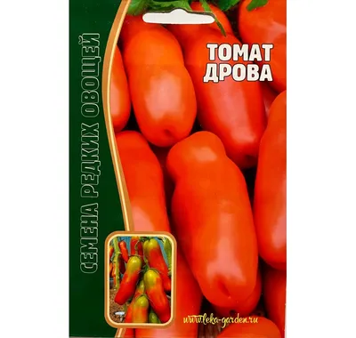 Провел настоящее расследование — существует ли на самом деле сорт картофеля  Дрова? Делюсь результатами | Огородные шпаргалки | Дзен