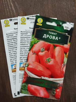 Томат Дрова – находка этого года среди помидоров