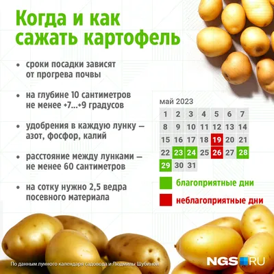 Картофель семенной 2кг сорт Винета купить с доставкой в МЕГАСТРОЙ Ульяновск