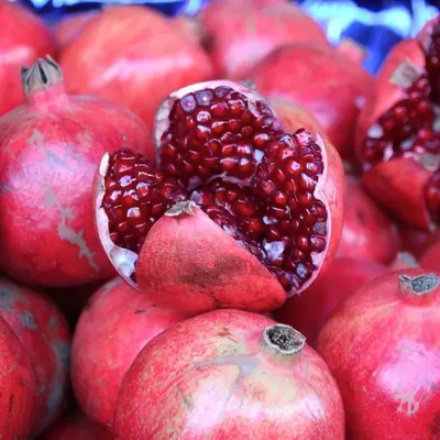 Саженцы граната — купить по низкой цене на Яндекс Маркете