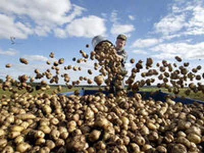 Картофельная смена - apkmedia.ru