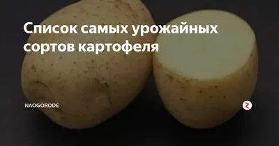 Картофель лимонка - 62 фото