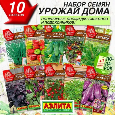 Сорта семенного картофеля, купить различные сорта картофеля в Минске