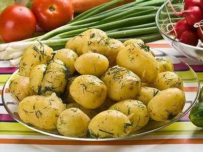 Семеннной Картофель Ариэль купить в Москве и РФ. Описание сорта. Пункты  самовывоза. Почтой (наложенный платеж). Доставка курьером по МО.