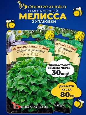 🌱 Картофель Семенной Ариэль по цене от 430 руб: картофель - купить в  Москве с доставкой - интернет-магазин Все Сорта