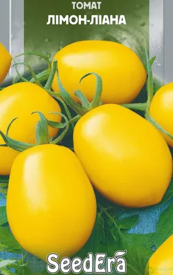 картофель семенной Ред Леди 80-90 дн. красный, мякоть желтая элита купить в  Самаре по цене 129 руб.