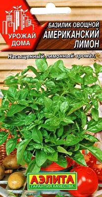 Картофель Лимонка - описание сорта, характеристика, посадка и уход с фото
