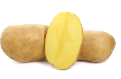 Суперранние сорта картофеля: виды и сорта - Agro-Market