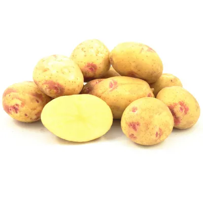 Семенной картофель Пикассо (Синеглазка) (1 репродукция) купить в Украине |  Веснодар