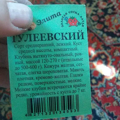 Картофель Тулеевский Сетка 2,5 кг - Иван-и-Марья интернет-магазин для  садоводов с доставкой по всей России. -