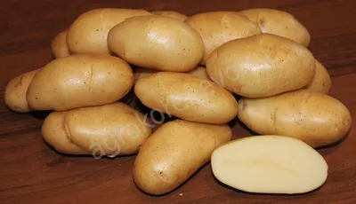 Картофель Раноми (Ranomi) | Сорта картофеля