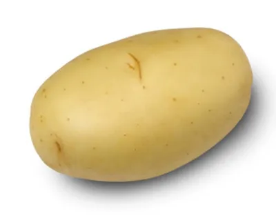 Картофель Саньява (Sanjava) | Сорта картофеля