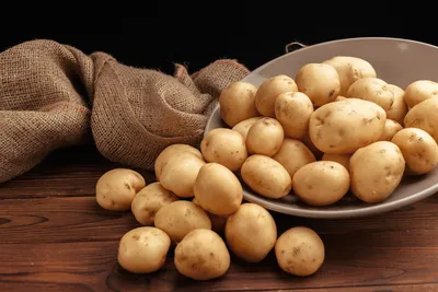 Картофель Семенной Импала – купить семенной картофель в интернет-магазине  Лафа с доставкой по Москве, Московской области и России