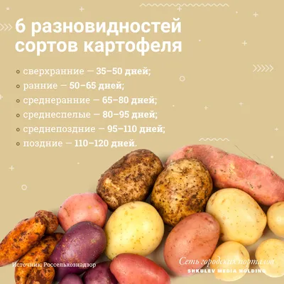 Семенной Картофель Дрова – купить в интернет-магазине OZON по низкой цене