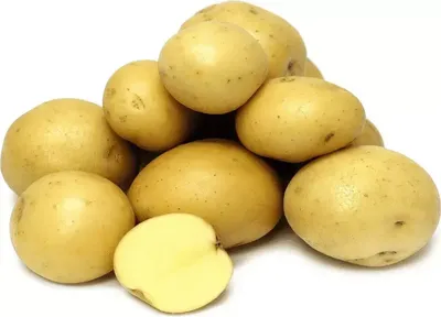Картофель семенной
