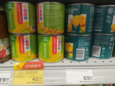 Семена кормовой кукурузы Любава 279 СВ, 0,5кг купить по цене 62.20 грн. -  ОптоМания