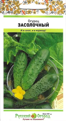 Огурец Засолочный 10шт, семена | Купить в интернет магазине Аэлита