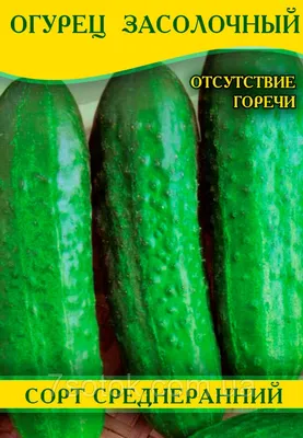 Семена Тимирязевский питомник огурец Засолочный 0.3 г 4607189275623 -  выгодная цена, отзывы, характеристики, фото - купить в Москве и РФ