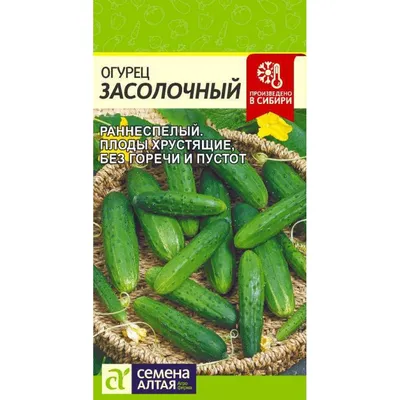 Купить - Огурец Засолочный/Сем Алт/цп 0,5 гр.. Alsemya.ru - интернет  магазин семян и саженцев, газонов и удобрений!