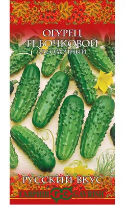 Огурец Китайский засолочный (сем.Китай) 10 шт.