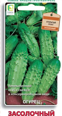 Семена огурца Бочковой засолочный, \"Гавриш\" - «Очень довольна!» | отзывы