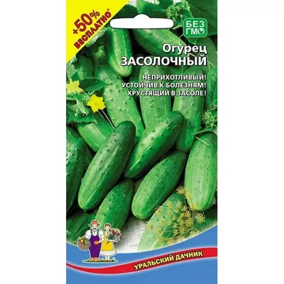 Семена Огурец Засолочный (а/ф Уральский Дачник) купить за 23 р. в садовом  центре АСТ Медовое