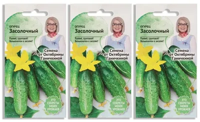 Огурец Засолочный семена 10 ШТ | AliExpress