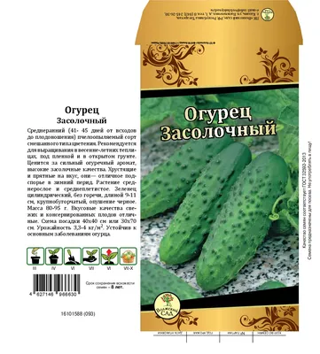 Огурец Засолочный 10шт