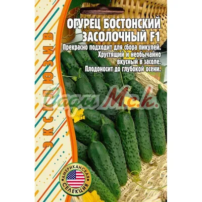 Семена Огурец Засолочный (Огородное изобилие) 0,5гр : купить по низкой цене  в интернет-магазине Komfort в Алматы, Нур-Султане, Казахстане