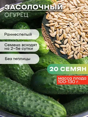 ✓ Набор семян Огурец Бочковой F1, 0,5г и Огурец Засолочный, 0,5г, Гавриш,  Дуэт по цене 48 руб. ◈ Большой выбор ◈ Купить по всей России ✓  Интернет-магазин Гавриш ☎ 8-495-902-77-18