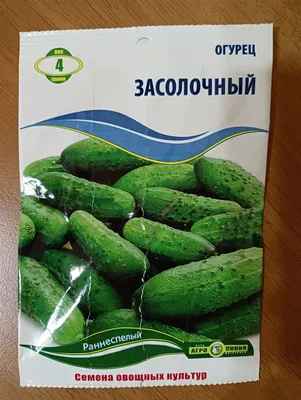Выбираем самые урожайные сорта / гибриды огурцов для теплицы и открытого  грунта! | Флористикс Инфо | Дзен