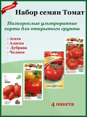 Раннеспелые сорта томатов | УДачка | Дзен