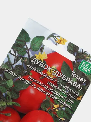 Семена Томат \"Дубок\" (дубрава) набор 1, 3, 5 уп купить по цене 90 ₽ в  интернет-магазине KazanExpress