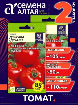 Томат Дубок Фото Урожайность Характеристика – Telegraph